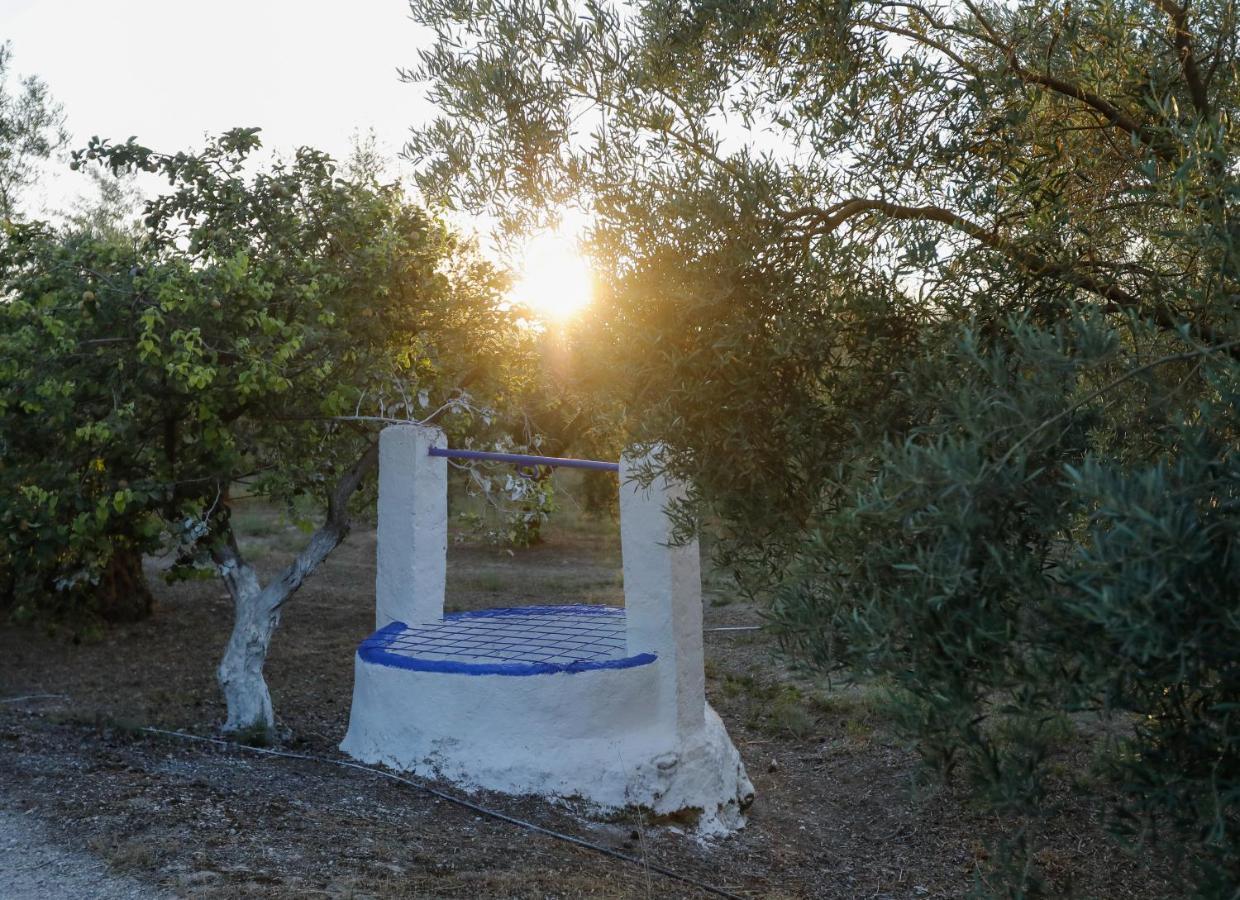 Cortijo Botanico El Cerro Villa Cabra Exterior photo